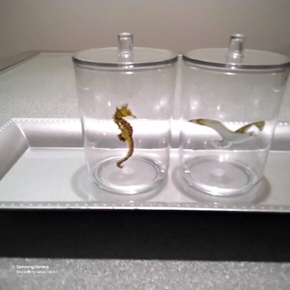 Bathroom Vanity Mattt Silver Tray, 2 Ocean Themed Q-Tip, Cotton Ball Containers - Picture 5 of 8